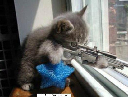 cat timp joci):8 regulile unui :da ce vrei sa intri in clan):am avut multe rasari din pamant